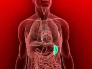 Dalak Hastalıkları Nelerdir?